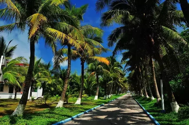 �u�Z�����ލu���V������������