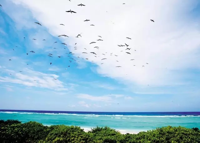 �u�Z�����ލu���V������������