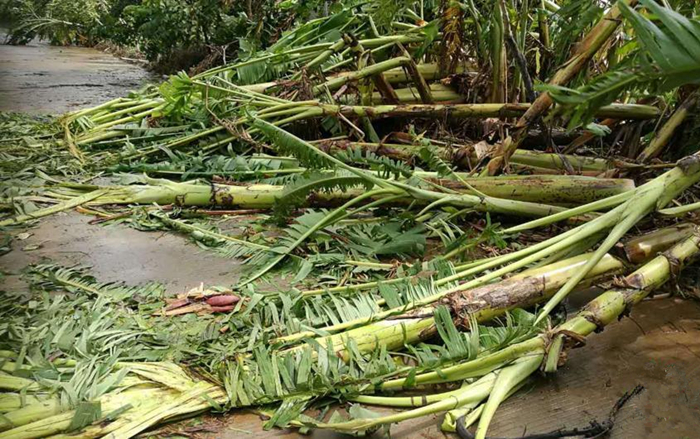 �������ލu���V������������