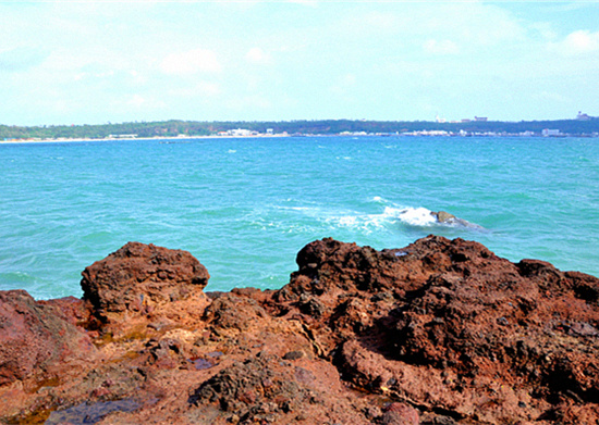 ���������ލu�������V������������