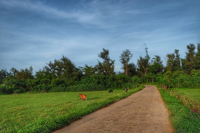 ���������ލu�������V������������