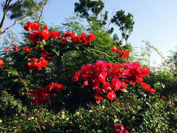 ���ލu���V������������