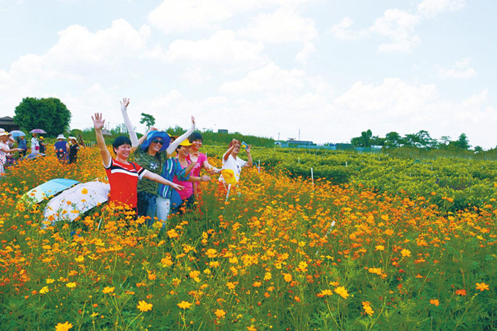 �����������������V������������