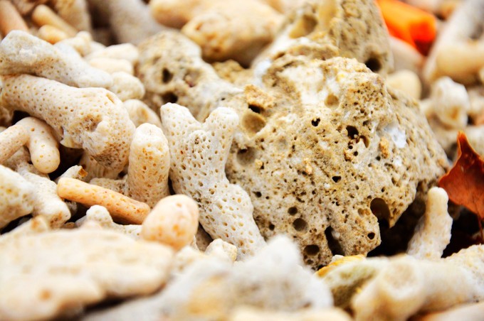 ���ލu���Σ��V������������