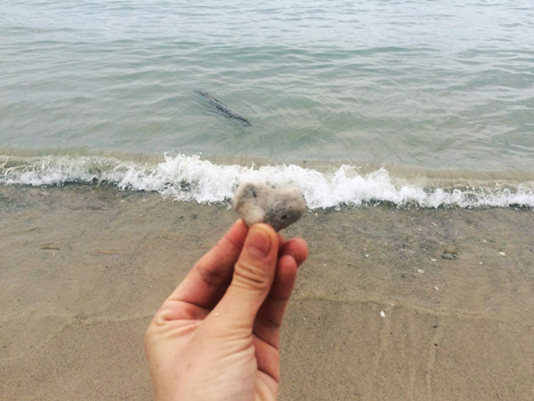 ���ލu���ι��ԣ��V������������