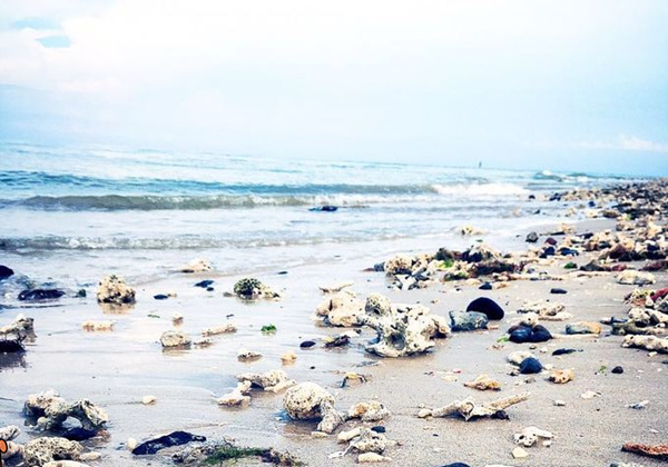 ���ލu���ι��������ލu���Σ��V������������