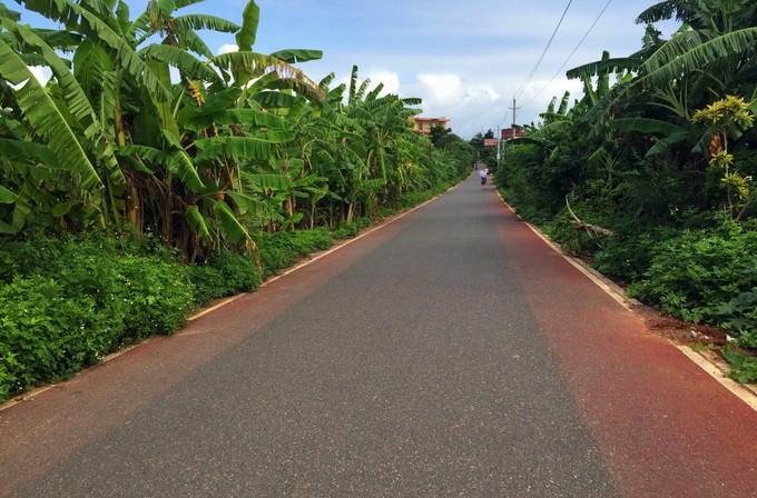 ���ލu�������V������������