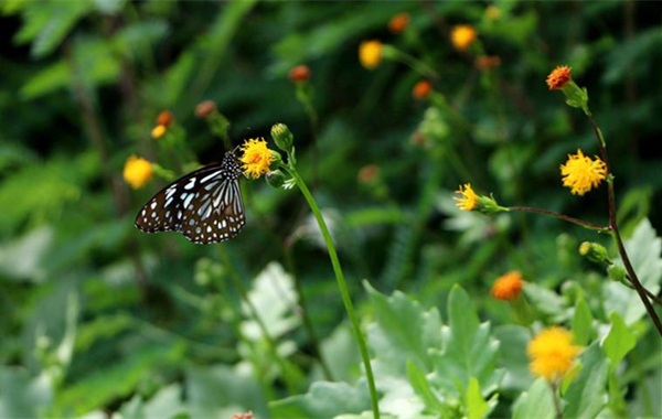 �V�����������������ލu����