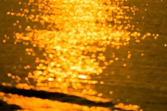 �V�����������������ލu���ι���