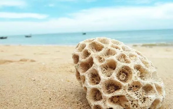 �V�����������������ލu����