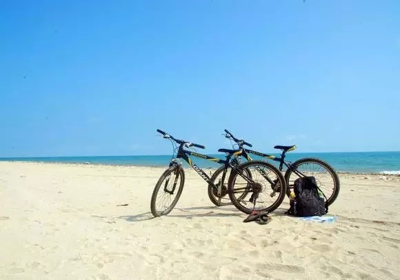 �V���������������������Σ��T��