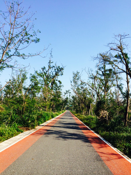 �V�����������������ލu���ι���