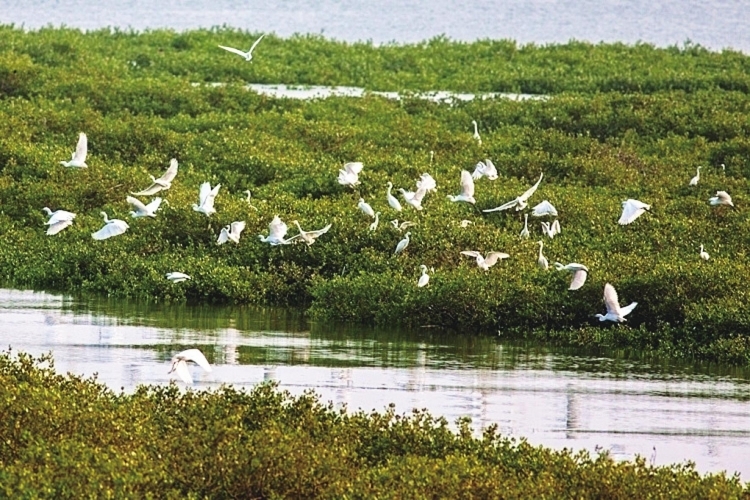 �V���������������t���֣���������