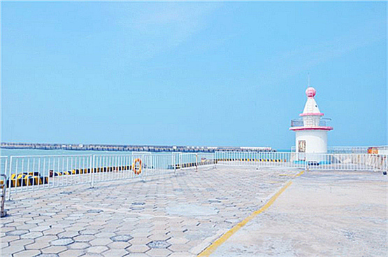 �V�����������������ލu����