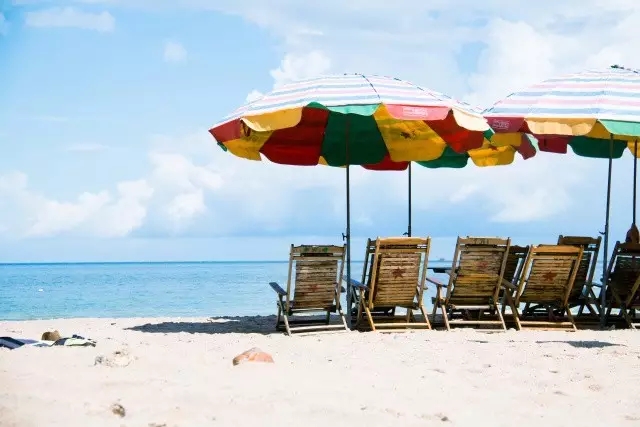 �V�����������������ލu����