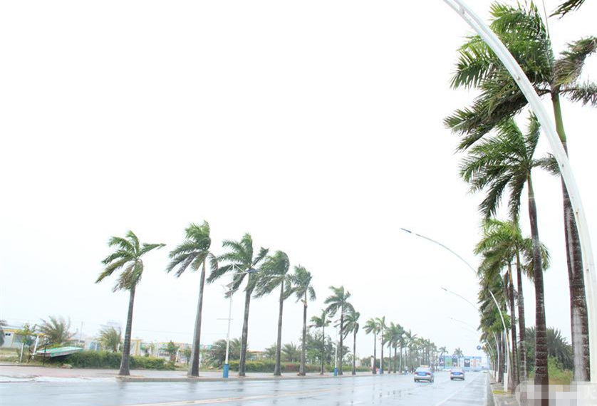 �V�����������磬�_�L(f��ng)