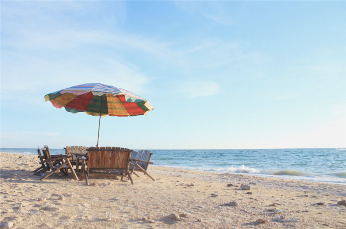 �V�����������������ލu����