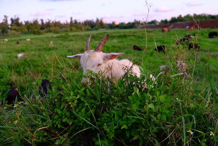 �V�����������������ލu����