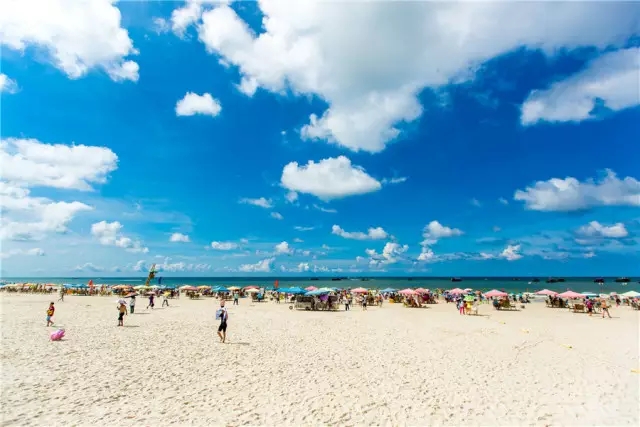 �V�����������������B�B(y��ng)������������