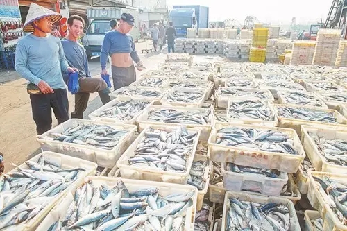 �V�����������磬���r