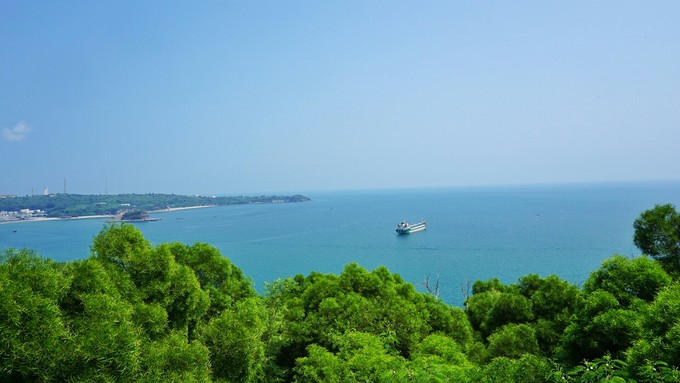 �V���������������ό������ލu����