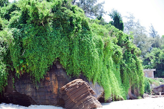 �V���������������ό������ލu����