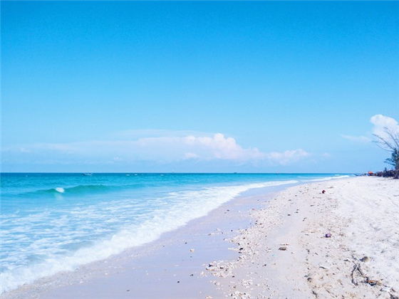 �V���������������ό������ލu����