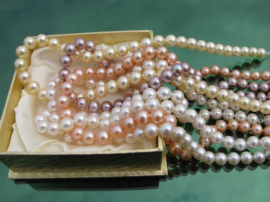 �V�����������������������M��