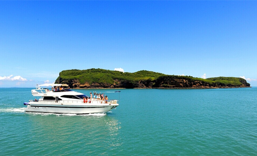 �V�����������������������M��