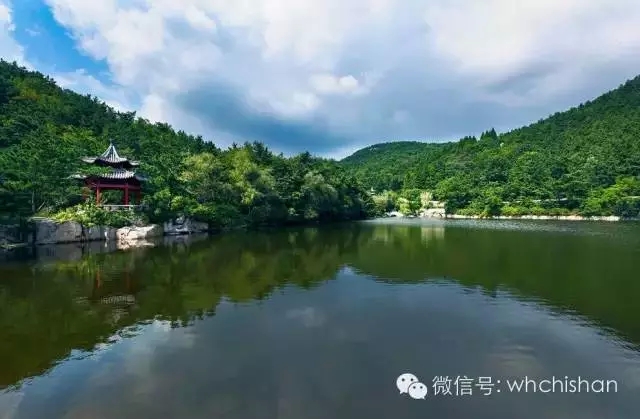 花期已過葉還未紅 去赤山賞云吧！