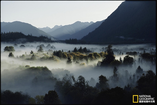 奧林匹克國家公園，華盛頓州攝影：Sam Abell，國家地理創(chuàng)意版