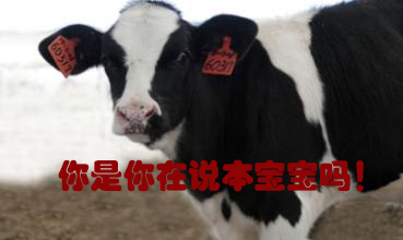 關(guān)我什么事！