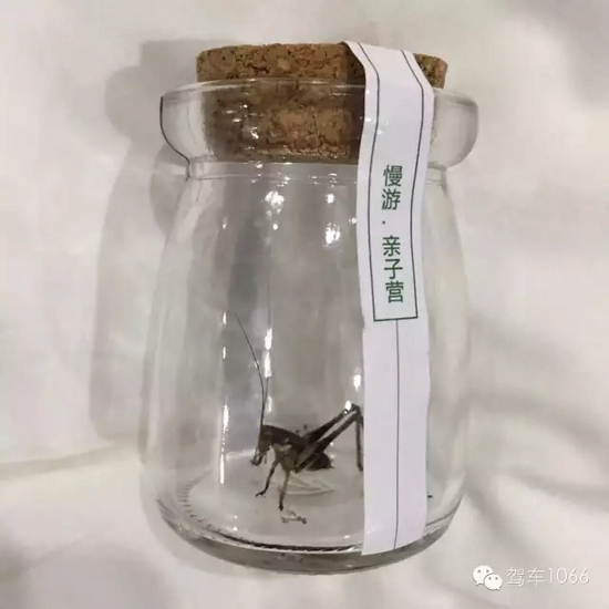 看看我的成果吧！