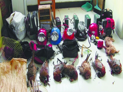 森林警方查獲的部分播放機(jī)、礦燈和獵殺的野生動(dòng)物等