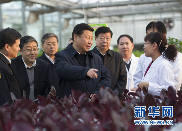  27日下午，習(xí)近平在山東省農(nóng)業(yè)科學(xué)院智能化溫室了解農(nóng)業(yè)科技創(chuàng)新情況。