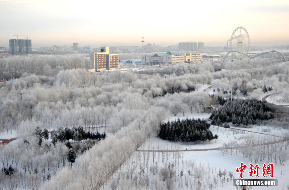12月10日,受降溫天氣影響,黑河市黑龍江江畔出現(xiàn)綿延數(shù)公里的霧凇景觀。