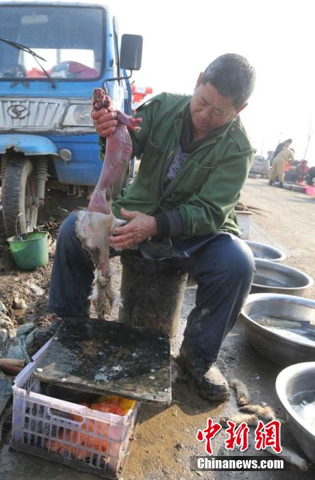 圖為12月1日，104國道靜?？h城附近，顧客挑好后，商販拎著死兔將皮完整地扒下來。田寶希 攝 圖片來
