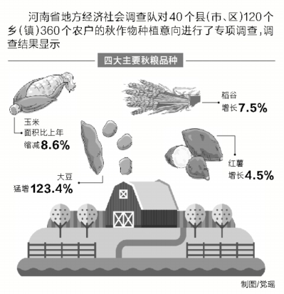 河南專項調查40個縣 四大秋糧種植結構發(fā)生變化