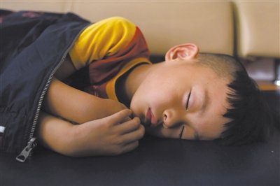 9月6日，等待錄制節(jié)目的多多躺在沙發(fā)上熟睡。新京報記者 侯少卿 攝