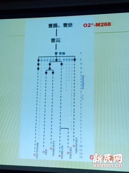 圖說：復旦課題組發(fā)布曹操家族DNA研究結果。新民網(wǎng) 記者 李欣 攝