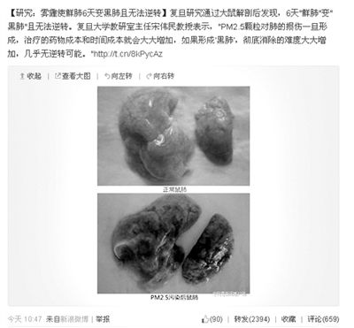昨天，一則“霧霾使鮮肺6天變黑肺”的新聞在網(wǎng)上引發(fā)熱議。網(wǎng)絡(luò)截圖