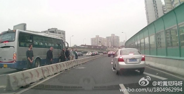 圖說:網(wǎng)友發(fā)布的老外在高架上行為不雅的照片。