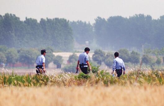 昨日上午，合肥長(zhǎng)豐縣雙墩鎮(zhèn)，民警分成小隊(duì)在案發(fā)村莊附近麥田搜捕嫌犯。記者劉玉才/攝