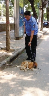 一名隊員拿一根叉子樣的工具，叉住狗狗的脖子