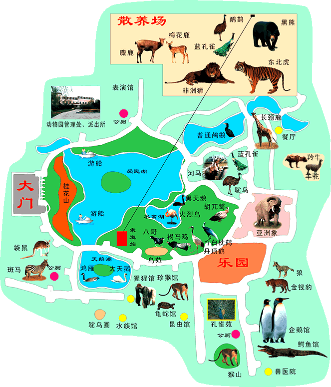 河南首次引進(jìn)的非洲長(zhǎng)頸鹿落戶(hù)鄭州