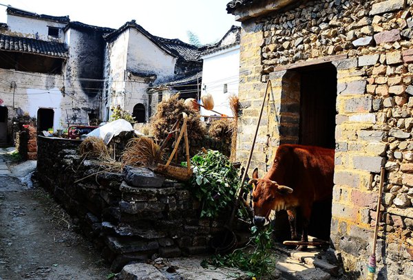10大古村落，見(jiàn)證鶴壁舊時(shí)光