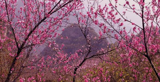 撿垃圾換玫瑰 女人節(jié) 愛在神農(nóng)山！