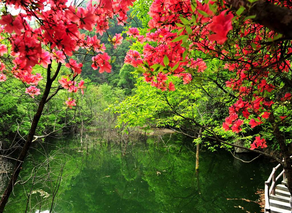 母親節(jié)河南景區(qū)優(yōu)惠大波來襲！