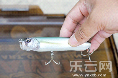 　　又稱擬餌釣魚,起源于歐洲,國內(nèi)翻譯為“路亞”。