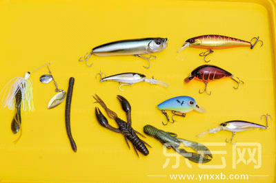 　　又稱擬餌釣魚,起源于歐洲,國內(nèi)翻譯為“路亞”。